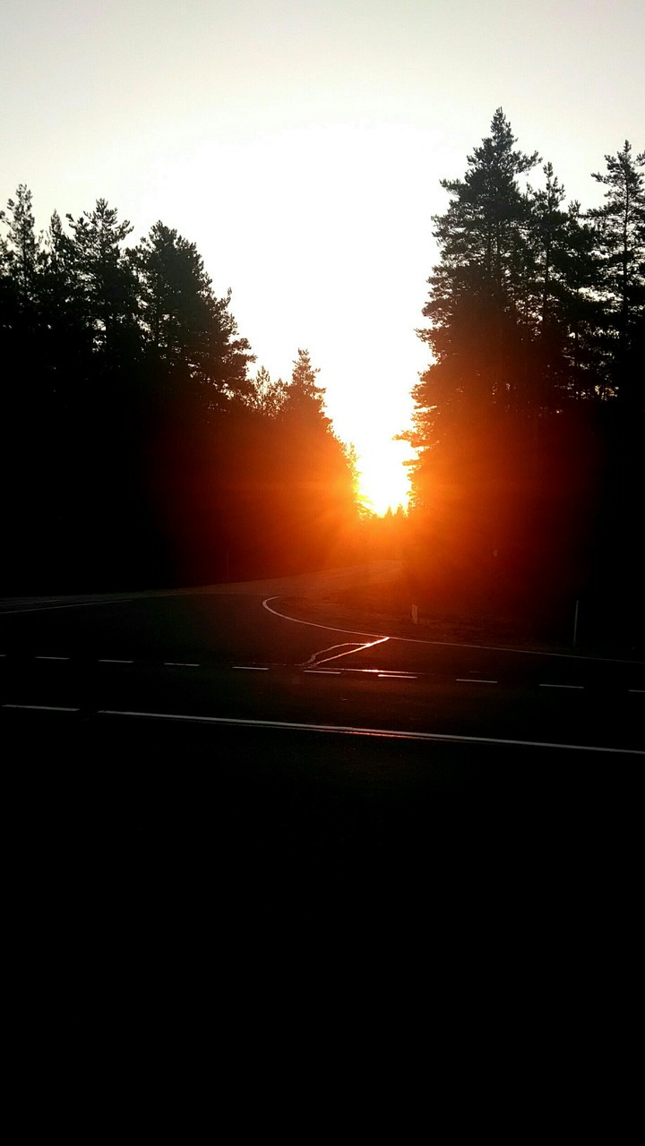 •sunrise
