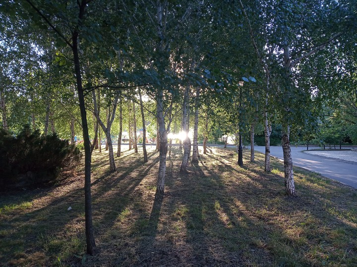 Near the pond