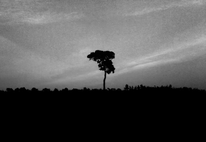 Ramu @ Coxsbazar