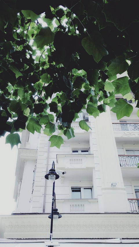 White Building