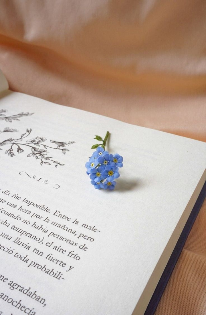 tapety stationery, petal