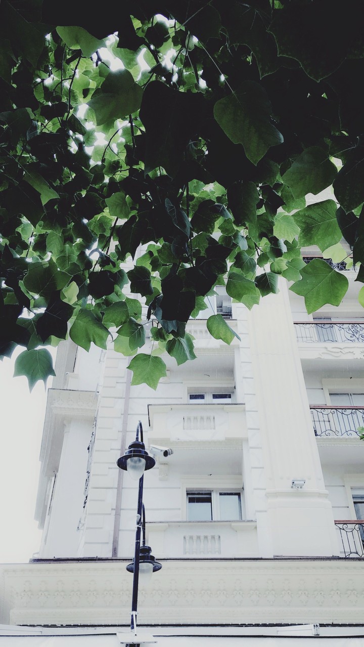 White Building
