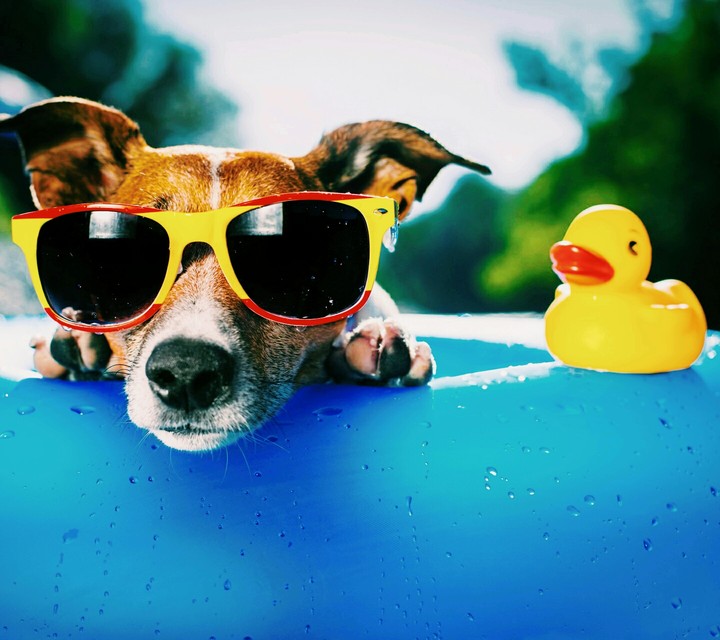 pooltime