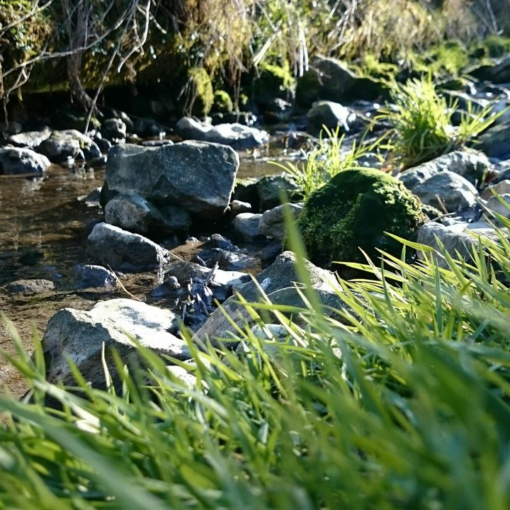 little River