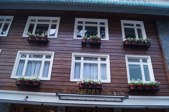 window garden