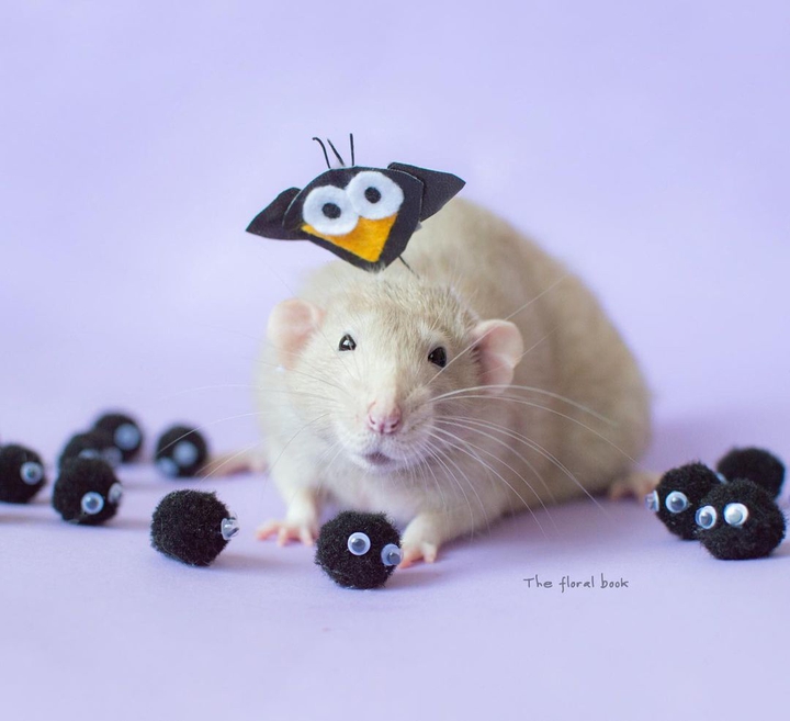 Mouse cosplayer