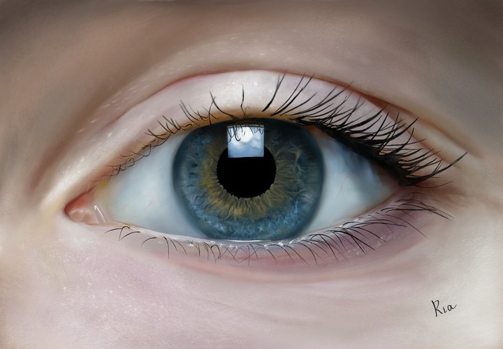 Eye