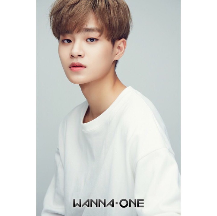 Lee Daehwi