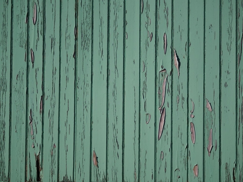 обои wood, plant