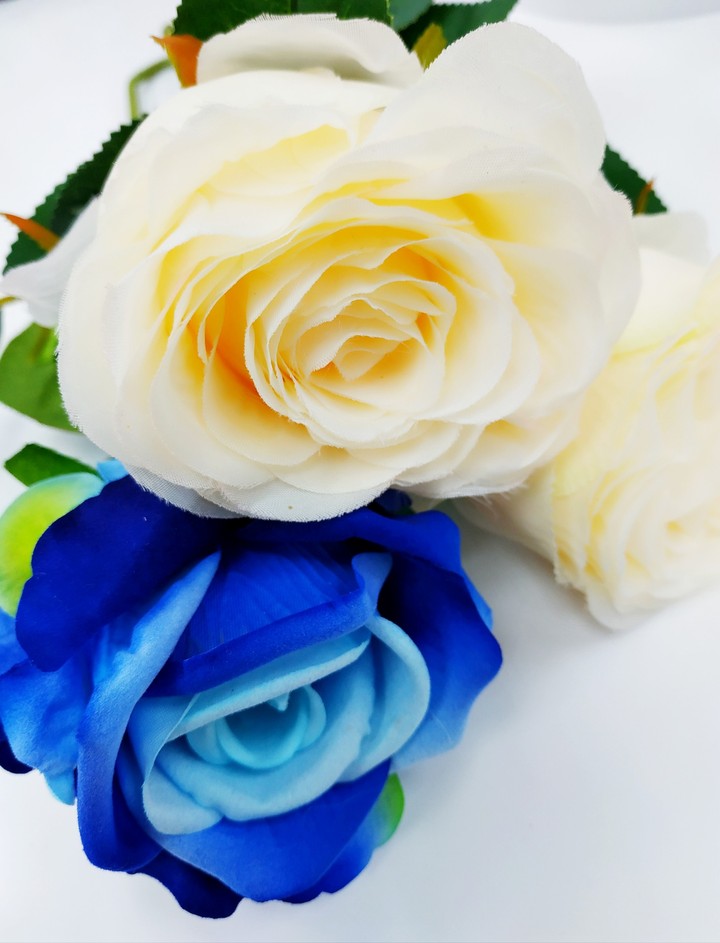 Blue Rose