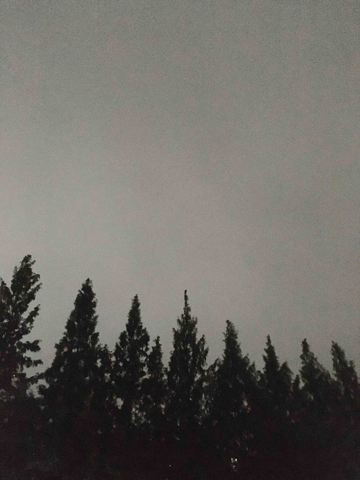 dark