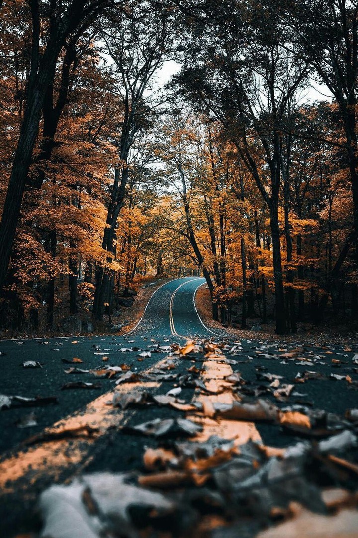 On the way