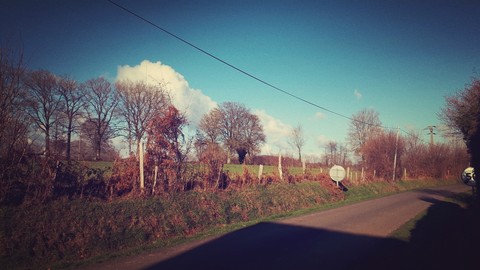 Paysage
