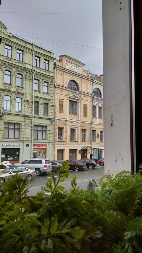 window view