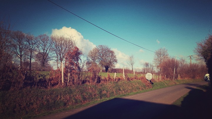 Paysage