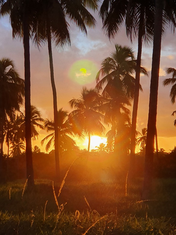 sol