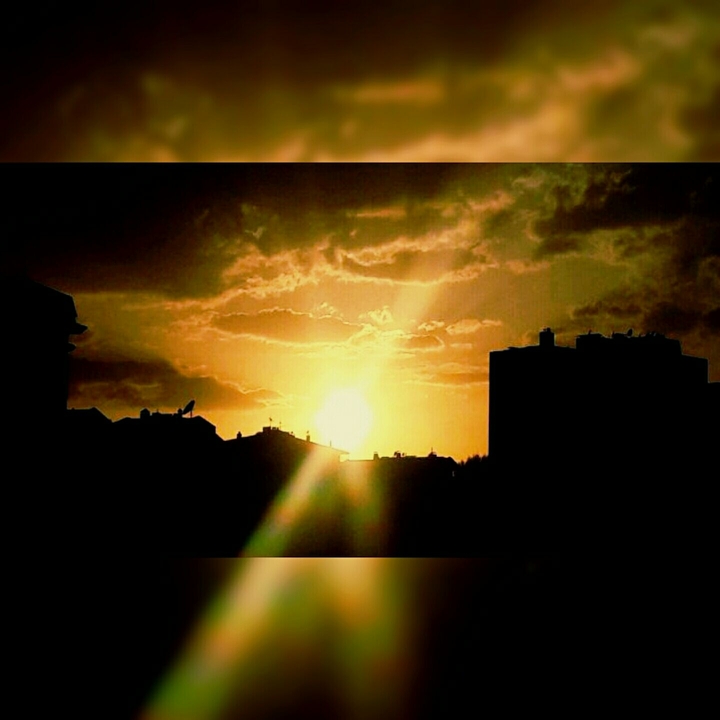 sunlight