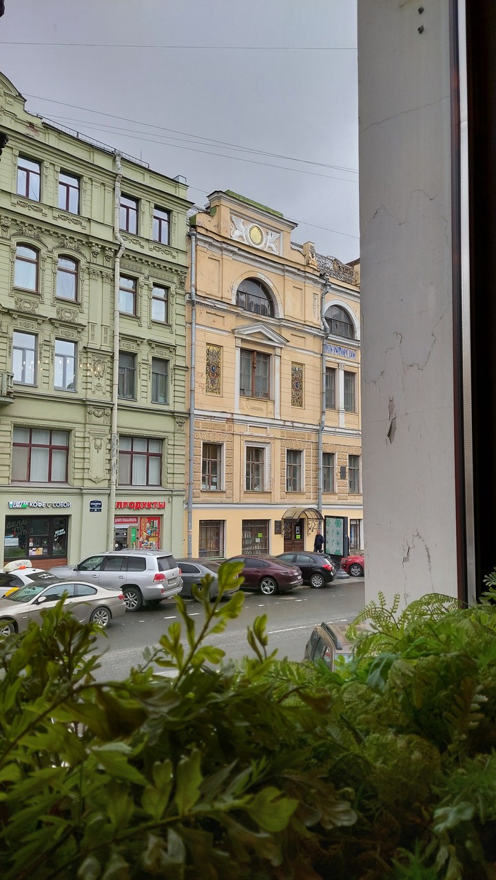 window view