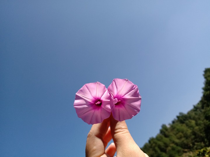 ??