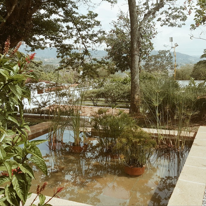 Naturaleza y paz