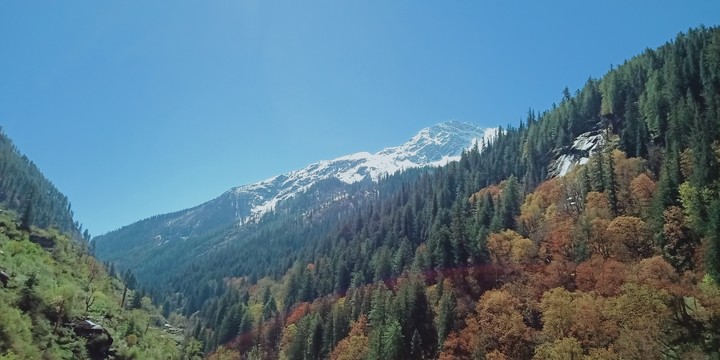 Mountain view