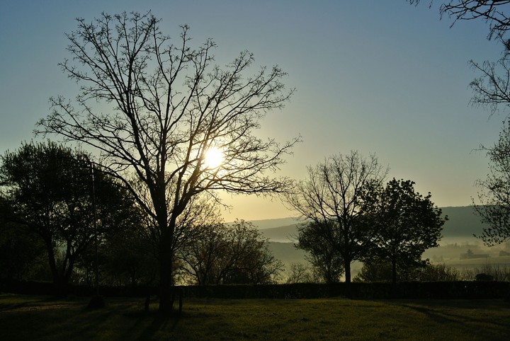 morning sun