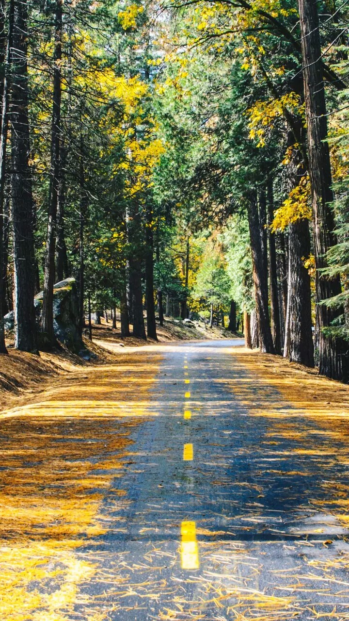one can find eternal peace in nature.
