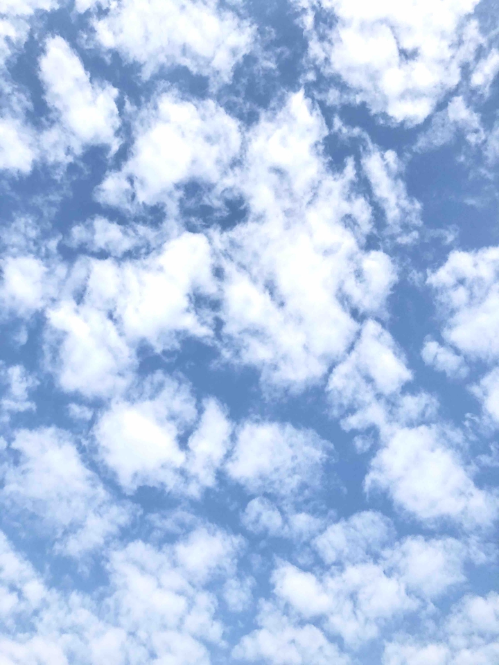 sky4