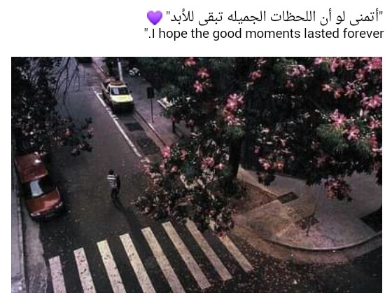 I hope the good moments lasted forever❤