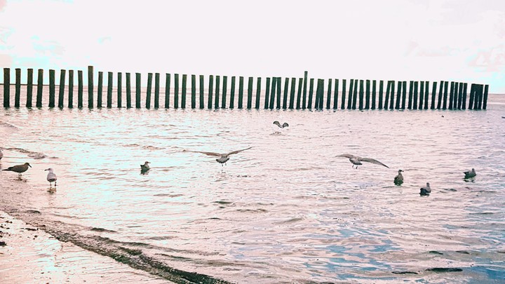 Wangerooge