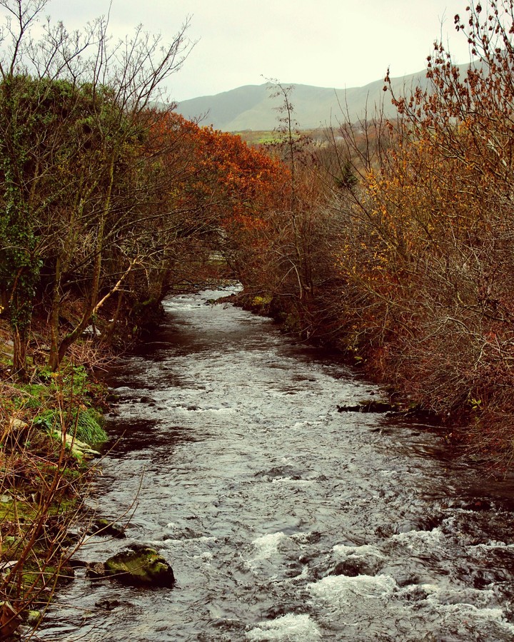 Water stream