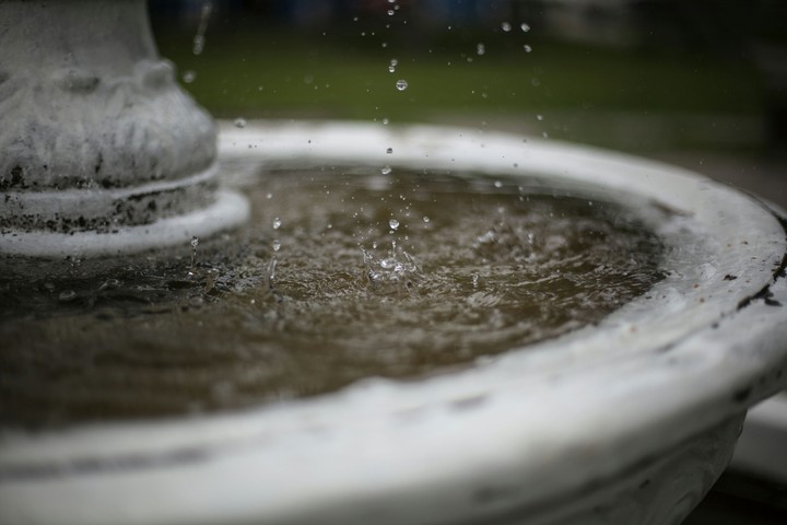 Water