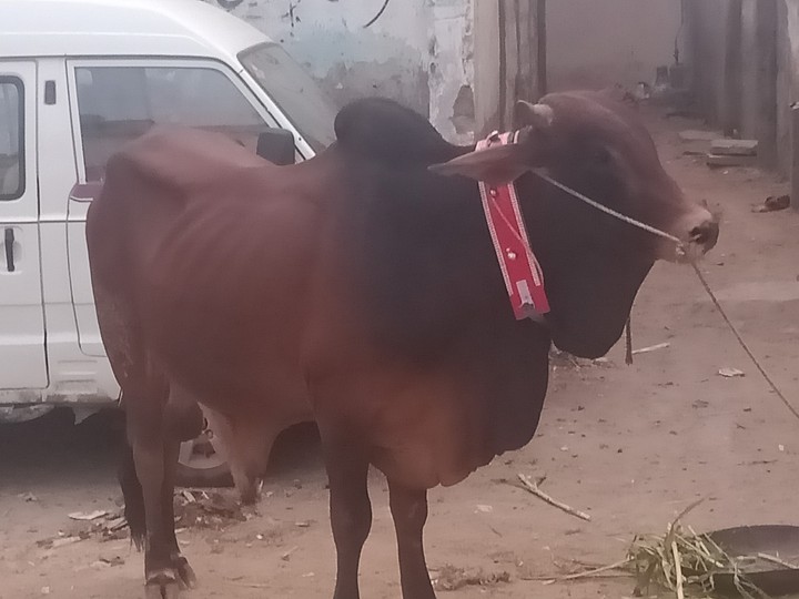 Eid