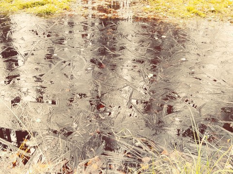 At the pond