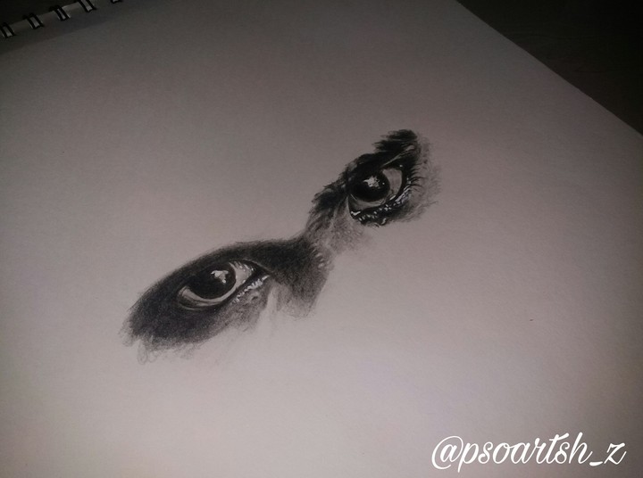 eyes !!!!