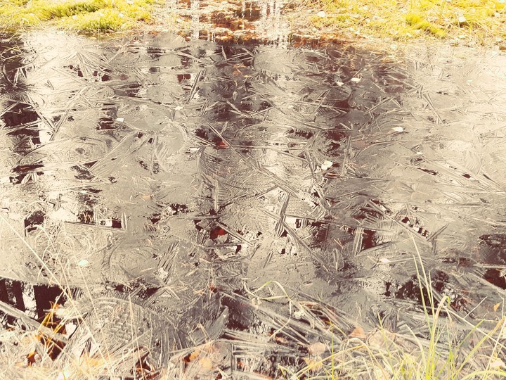 At the pond