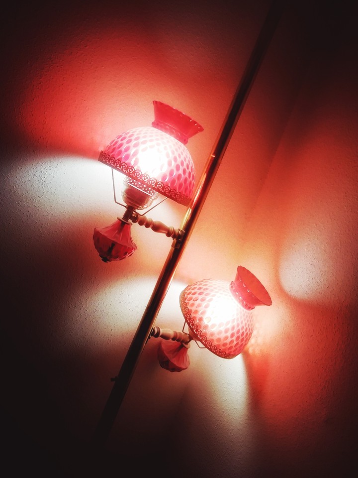 · l i g h t   u p ·