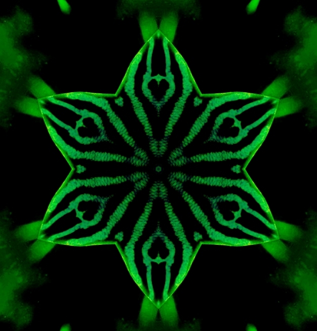 Kaleidoscope's by SexyMugsy