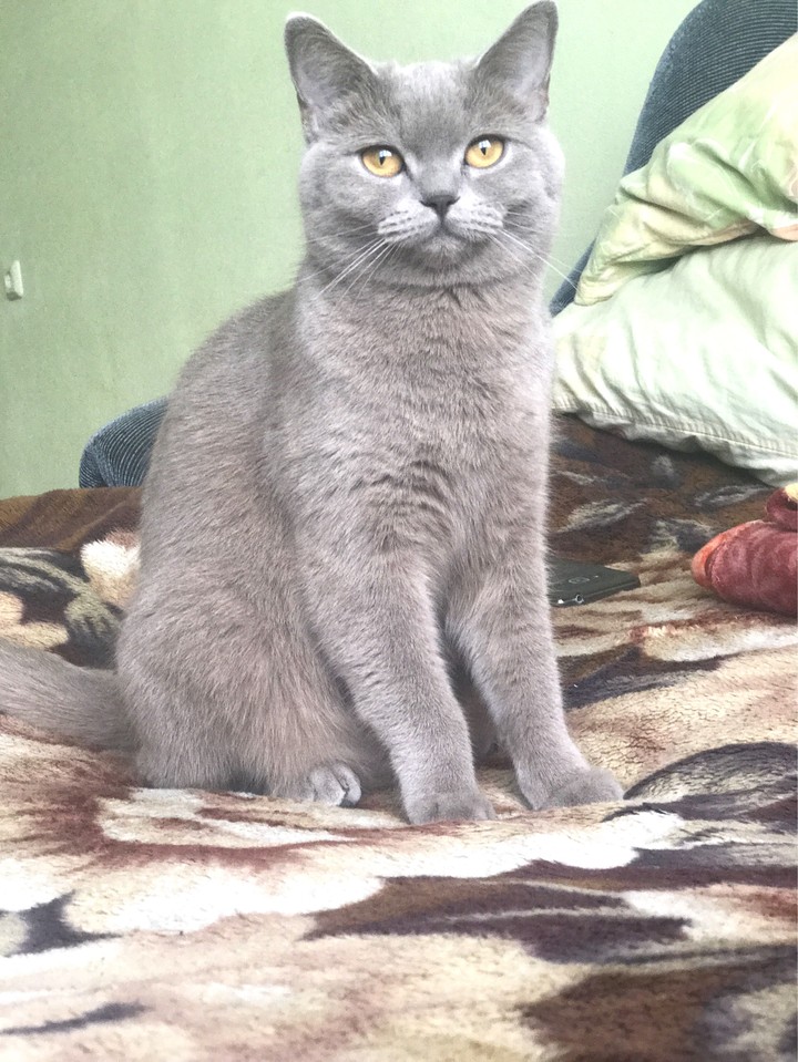 Tasyusha❤️