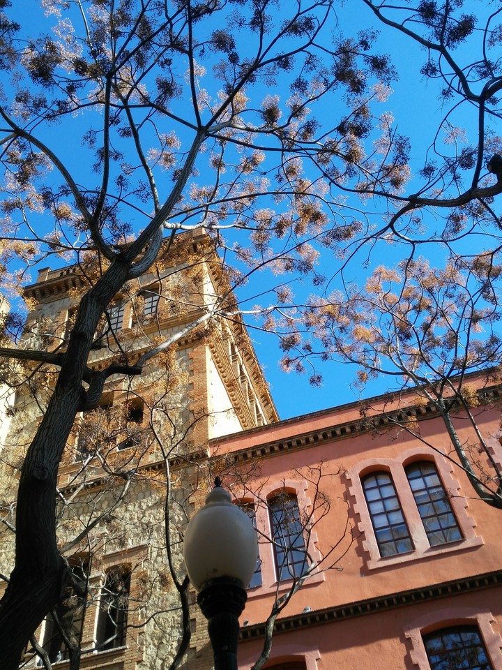spring