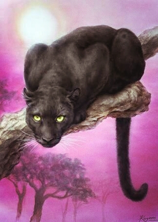 I love it's eyes