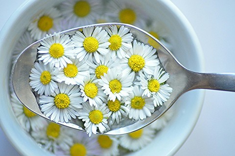 flawer soup