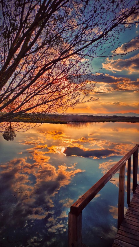 sunlight