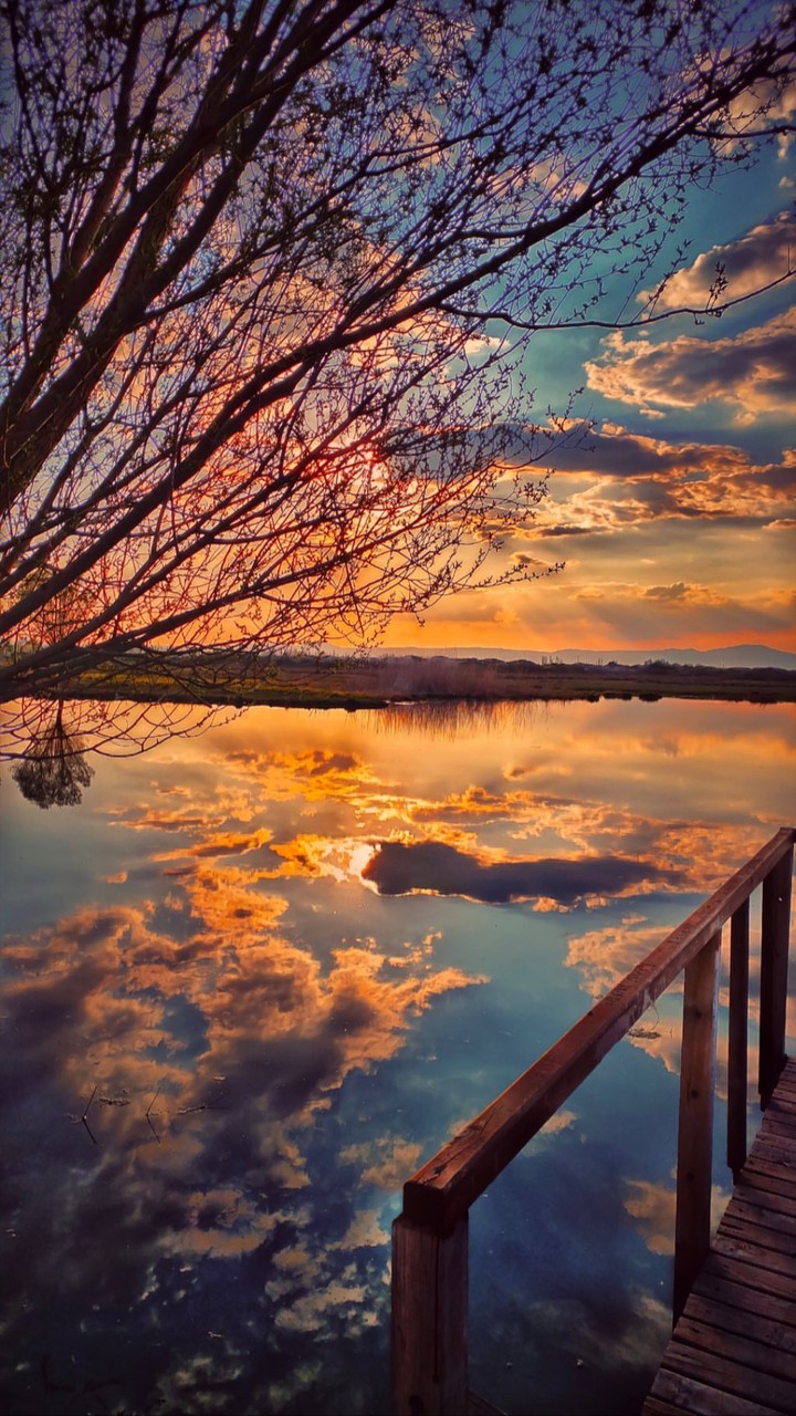 sunlight
