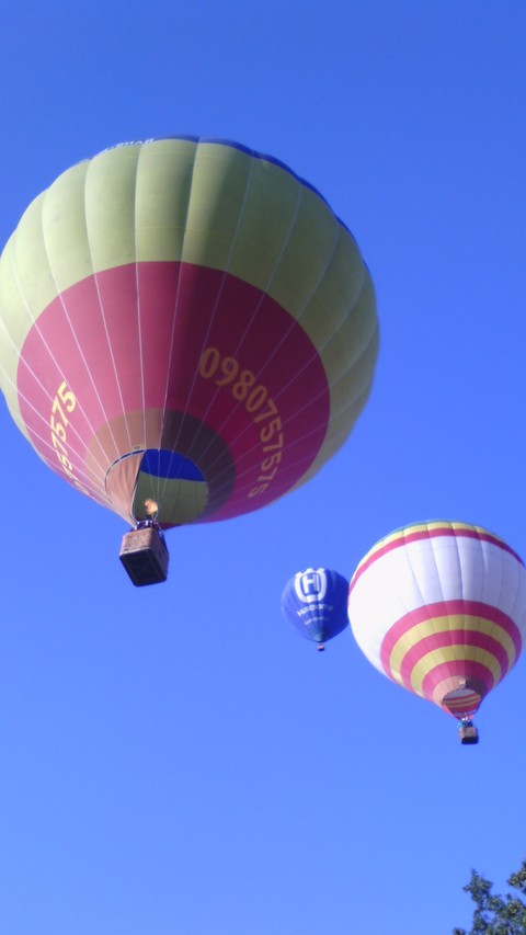 Flying