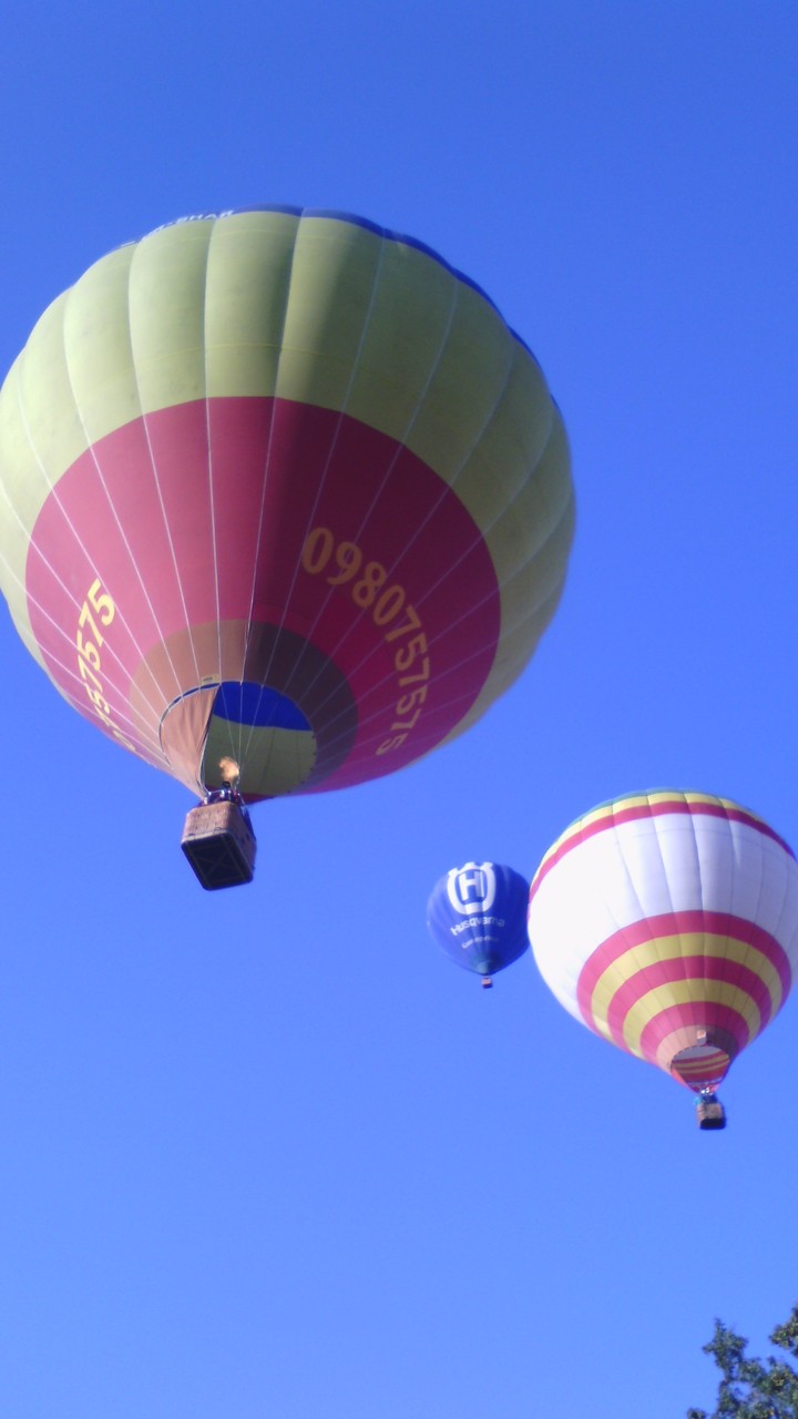 Flying