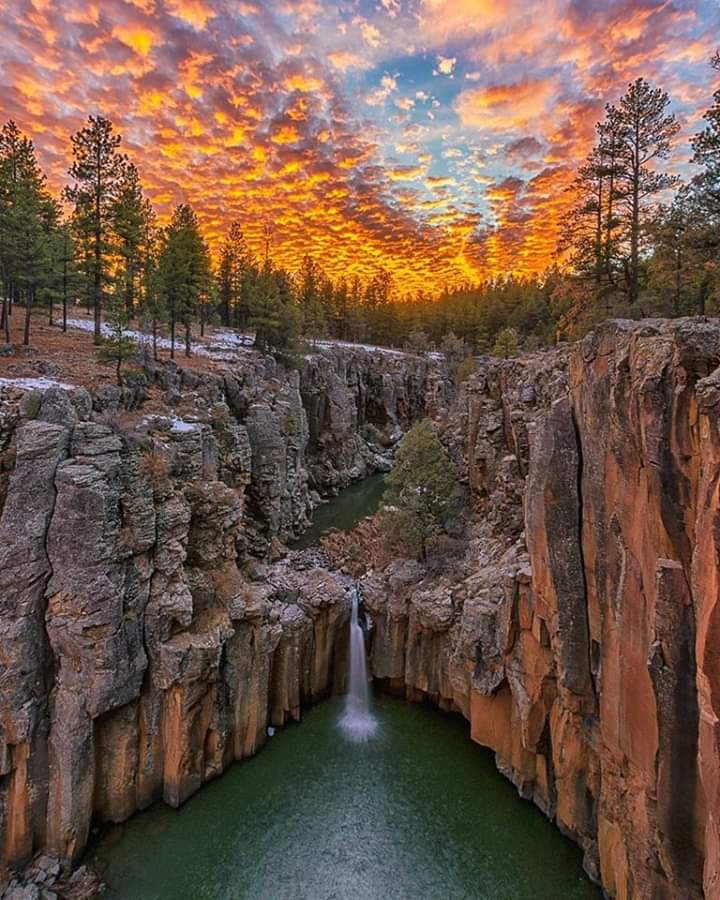 sycamore falls