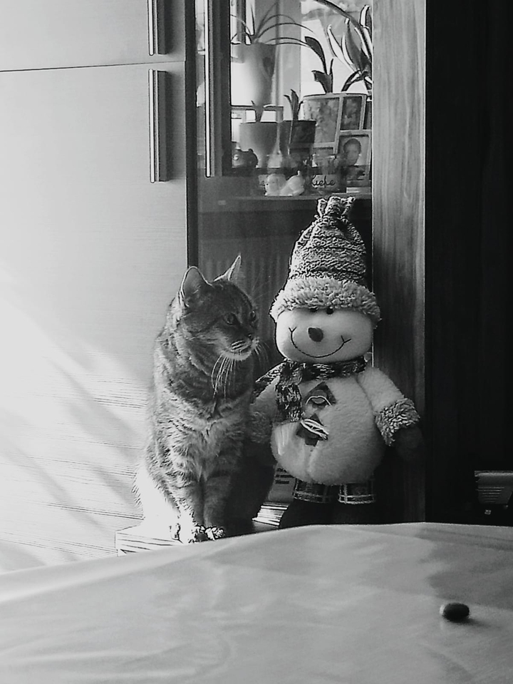 Momo and Friend