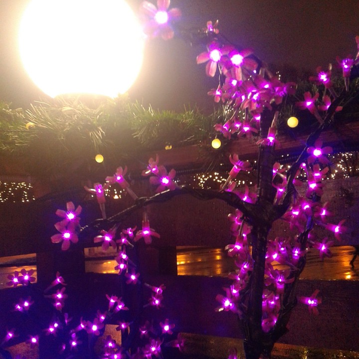 lights