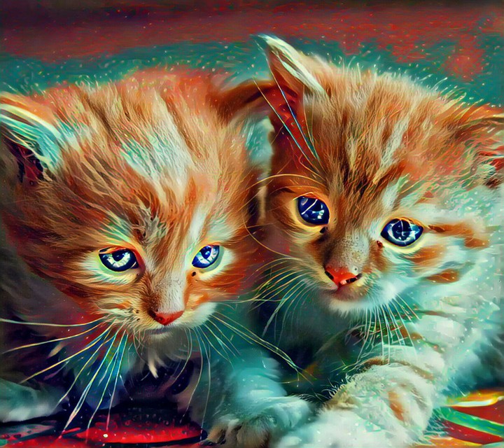 Cat Brother